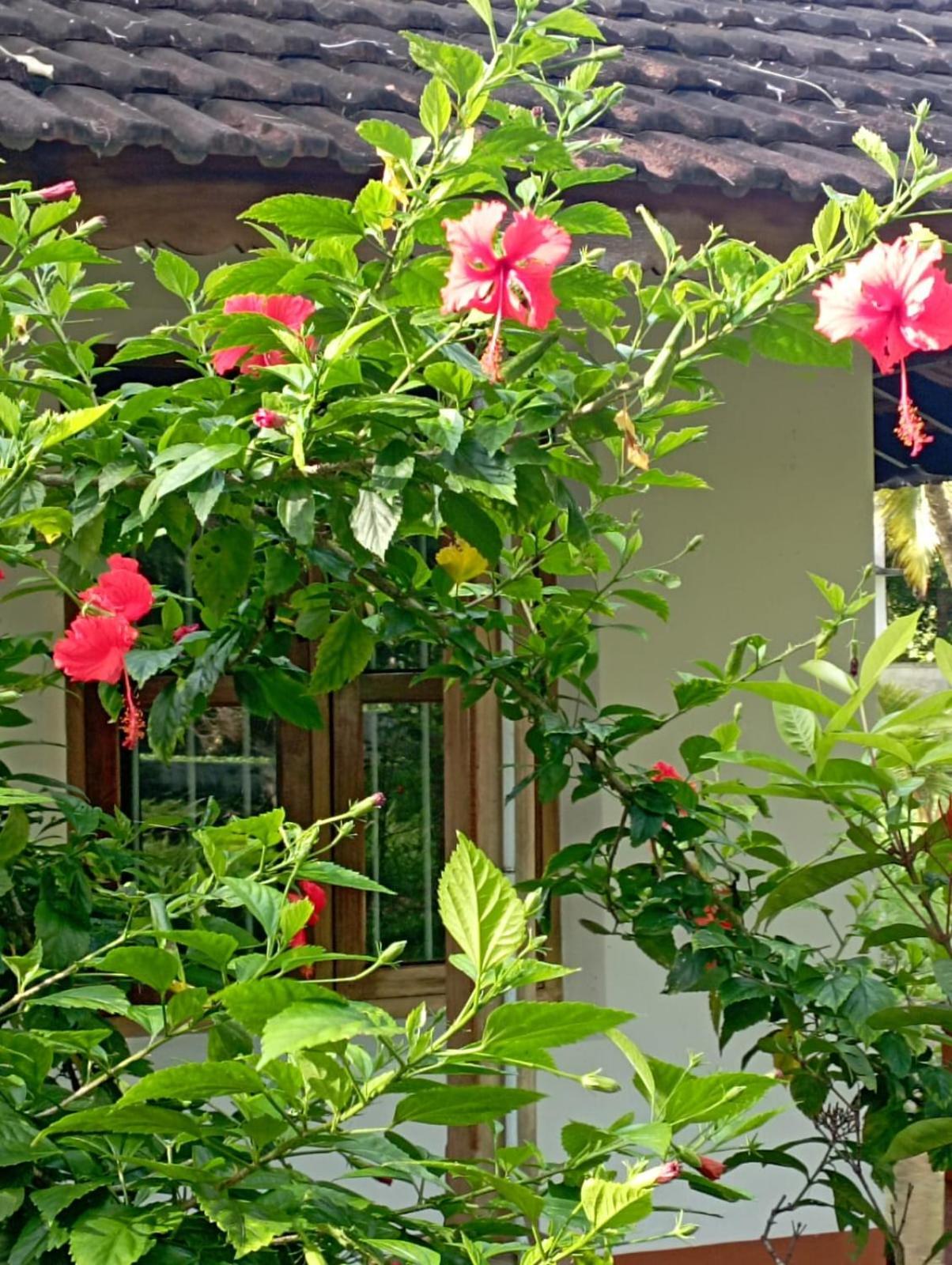 Gramam Homestay, Cochin Kochi Exteriér fotografie